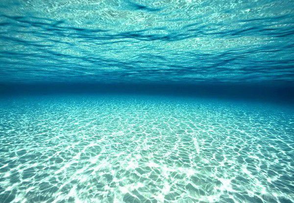 У корі Землі під океаном вчені виявили живі організми. Американські гідробіологи вперше виявили живі організми в водоносному шарі земної кори під океаном. Активне мікробне співтовариство виявлено під товщею води глибиною 4,5 кілометра і в кількох десятках метрів від поверхні земної кори.