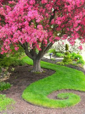 Квітучий сад: фантастичні ідеї дизайну дачної ділянки (Фото). Настала весна, а значить, саме час почати приводити в порядок свою дачну ділянку. В першу чергу варто подумати про таку річ як клумби.