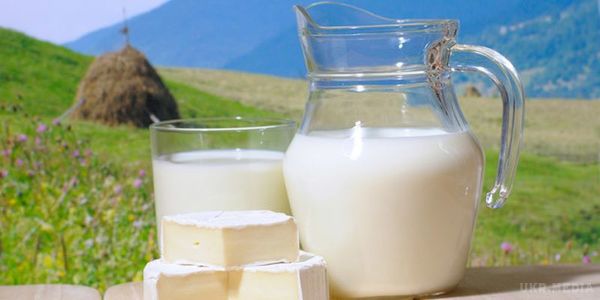 Який продукт сприятливо позначається на роботі мозку. Вчені розповіли, яку кількість молока на добу достатнього для гарного самопочуття.