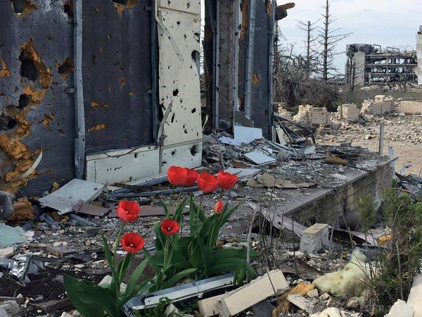 ФОТОФАКТ. Квіти на обмитій кров'ю землі: на руїнах Донецького аеропорту з'явилися тюльпани. Весна прийшла навіть туди, де ще зовсім недавно вирували запеклі бої, лилась кров ріками і гинули люди. 