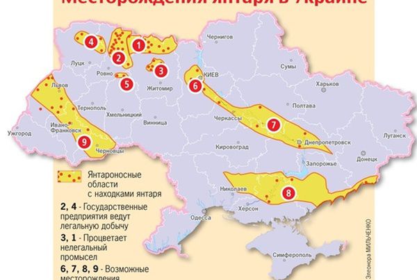 Янтарна карта України: тисячі доларів під ногами
