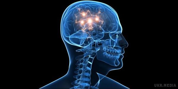 У США збираються оживити мертвий мозок людини. Біотехнологічна компанія розробила технологію "пожвавлення" головного людського організму.