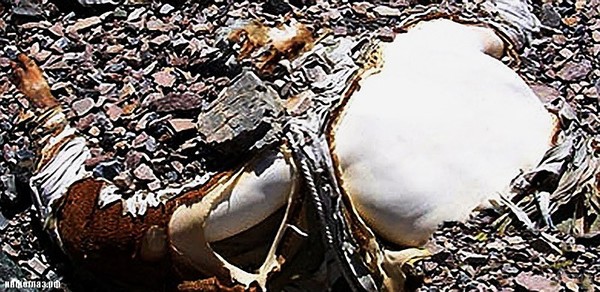 Кладовище на Евересті (не рекомендується перегляд вразливим) фото, відео. Ви напевно звернули увагу на таку інформацію, що Еверест — це, в повному значенні слова, гора смерті.
