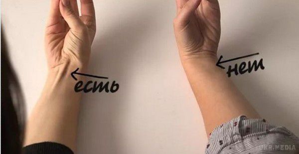 Зімкніть мізинець і великий палець руки. Бачите сухожилля на зап'ясті? От що воно значить... За останні 200 тисяч років людина сильно зробила крок вперед, якщо ми говоримо про еволюцію. Навіть незважаючи на те, що ми дуже сильно схожі на своїх предків, сучасна людина відрізняється по багатьом фізичним і анатомічним особливостям. Це доводять рудиментарні органи, які розкидані по всьому організму людини.