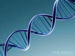 Люди відрізняються між собою лише на 0,1%. ДНК усіх людей на планеті різниться тільки на 0,1%