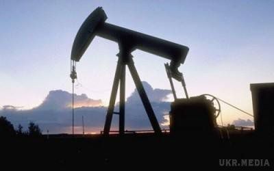 В Україні відкрили нафтове родовище. ПАТ "Укргазвидобування" відкрило в Харківській області нафтове родовище ресурсом 290 тис тонн.