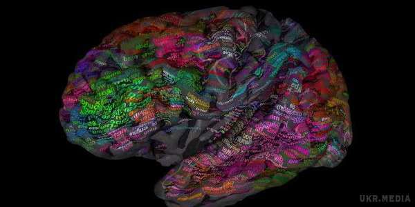 Науковці показали, як людський мозок запам'ятовує слова (ВІДЕО). Західні дослідники заявили, що у корі головного мозку людини наявний словник значень, який займається зв'язуванням словами відповідно до їх значень. Дослідивши отримані дані науковці склали докладну карту, яку назвали «семантичним словником».