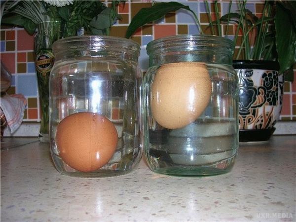 Як перевірити курячі яйця. Курячі яйця — один з тих продуктів, які важко перевірити на свіжість відразу в магазині або на ринку.