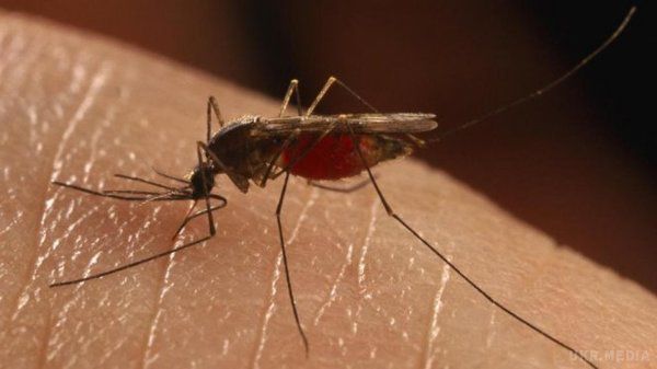 Телевізор  який відлякує комарів створила компанія LG. Телевізор під маркою Mosquito Away має вбудований ультразвуковий пристрій, яке з допомогою випромінювання ультразвукових хвиль тримає комах на відстані.