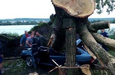 Шквали у Львівській області: величезне дерево розчавило легковик (фото). Негода повним ходом пройшлася і по Львівській області, де в деяких районах сильний вітер ламав дерева та зривав дахи будинків.