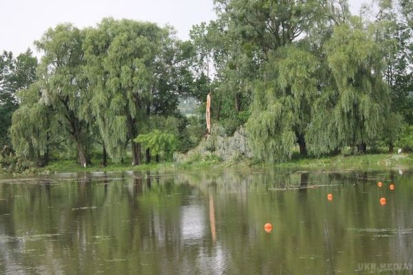 Шквали у Львівській області: величезне дерево розчавило легковик (фото). Негода повним ходом пройшлася і по Львівській області, де в деяких районах сильний вітер ламав дерева та зривав дахи будинків.