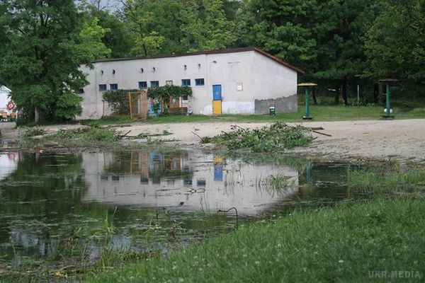 Шквали у Львівській області: величезне дерево розчавило легковик (фото). Негода повним ходом пройшлася і по Львівській області, де в деяких районах сильний вітер ламав дерева та зривав дахи будинків.