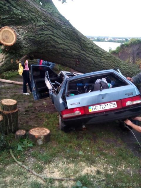 Шквали у Львівській області: величезне дерево розчавило легковик (фото). Негода повним ходом пройшлася і по Львівській області, де в деяких районах сильний вітер ламав дерева та зривав дахи будинків.