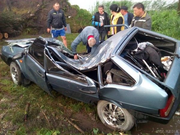Шквали у Львівській області: величезне дерево розчавило легковик (фото). Негода повним ходом пройшлася і по Львівській області, де в деяких районах сильний вітер ламав дерева та зривав дахи будинків.