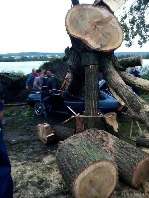 Шквали у Львівській області: величезне дерево розчавило легковик (фото). Негода повним ходом пройшлася і по Львівській області, де в деяких районах сильний вітер ламав дерева та зривав дахи будинків.