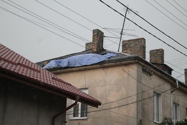 Шквали у Львівській області: величезне дерево розчавило легковик (фото). Негода повним ходом пройшлася і по Львівській області, де в деяких районах сильний вітер ламав дерева та зривав дахи будинків.