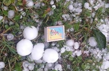 Закарпаття побив аномальний град (фото,відео). Сьогодні вранці у Виноградівському, Тячівському, Хустському та Свалявському районах Закарпаття випав аномальний град , розміри якого варіюються з перепелиним, в деяких місцях – навіть курячим яйцем. 