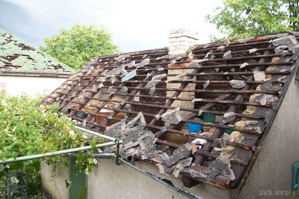 Закарпаття побив аномальний град (фото,відео). Сьогодні вранці у Виноградівському, Тячівському, Хустському та Свалявському районах Закарпаття випав аномальний град , розміри якого варіюються з перепелиним, в деяких місцях – навіть курячим яйцем. 