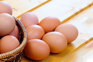 Чи можна підкладати яйця з холодильника під квочку? Все про цей спосіб вирощування курчат