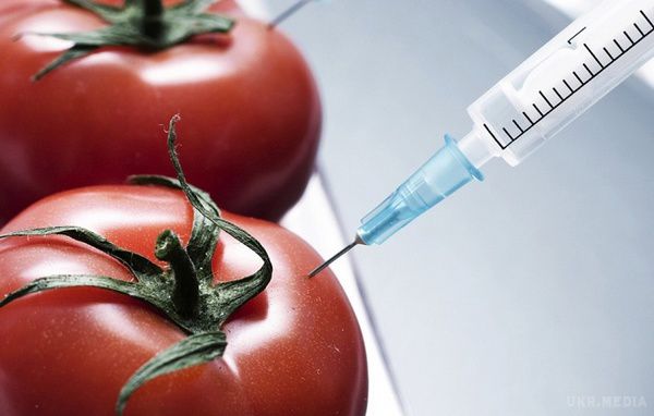 Кожен день ми їмо отруту! Ось як відрізнити помідори з ГМО від натуральних.. Незважаючи на зростаюче невдоволення серед споживачів, численні корпорації продовжують виробляти та просувати на ринок продукти з ГМО. 