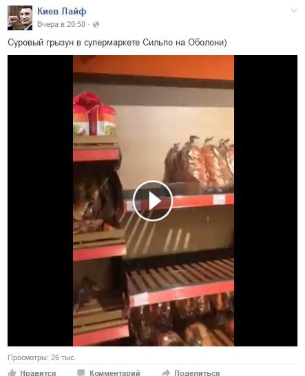 Суворий гризун в супермаркеті Києва вирішив перекусити: кадри набирають популярність в Мережі. Відеоролик з пацюком, який вирішив перекусити в одному з супермаркетів столиці України, набирає популярність в Мережі.