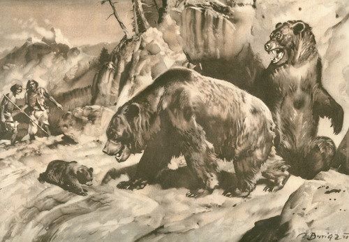 Вчені знайшли причину вимирання хижаків льодовикового періоду. Вчені з'ясували, чому вимерли печерні ведмеді. Виявилося, що причиною вимирання хижаків льодовикового періоду стало веганство.