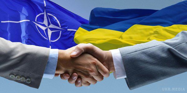  Нові проекти співпраця України з НАТО-фахівець.  Про співпрацю будуть обговорюватися у форматі "Велика п*ятірка плюс Україна"