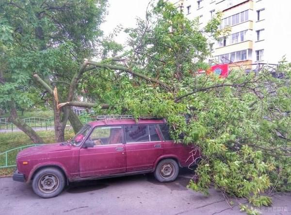 В результаті нічного потужного буревію в Москві постраждали  люди(ФОТО). З-за грози стався короткочасний збій в роботі метрополітену.