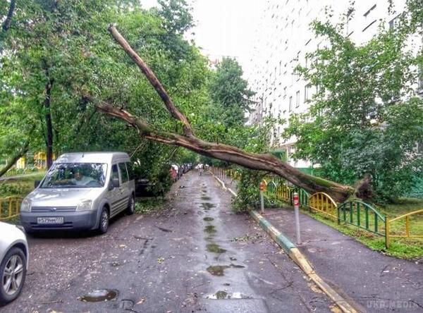 В результаті нічного потужного буревію в Москві постраждали  люди(ФОТО). З-за грози стався короткочасний збій в роботі метрополітену.