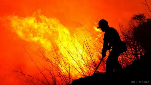 В Україні оголосили надзвичайну пожежну небезпеку. В усіх областях України, крім західних, оголошена висока, а місцями -- надзвичайна пожежна небезпека