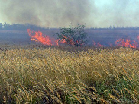 У Луганській області лісова пожежа перекинулася на село, два будинки згоріли.  Природна пожежа перекинулася на одне з сіл в Луганській області, вогонь перекинувся на житлові будинки і сараї, полум'я вдалося локалізувати,