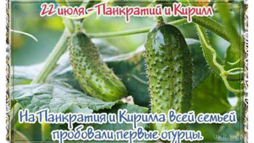 Народні прикмети: 22 липня. Сьогоднішня дата присвячена двом священномученикам Панкратию і Кирила. Ми розповімо вам, які народні прикмети про погоду і традиції існували у наших предків.