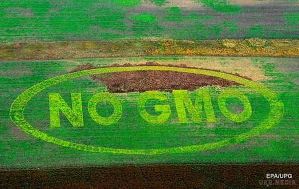 РФ заборонила ввезення українських кормів для тварин. Тимчасова заборона введена через ГМО.