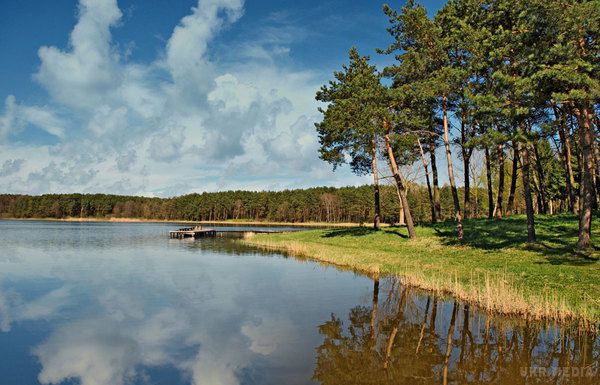 Леся Українка. Прощай, Волинь! прощай, рідний куточок!. Вірші Лесі Українки.