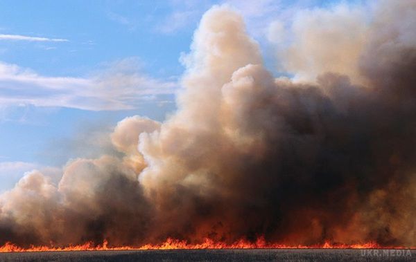  Понад 40 гектарів пшениці згоріло на Волині. Ще 24 гектари зернових врятували при гасінні пожежі, зазначили рятувальники.