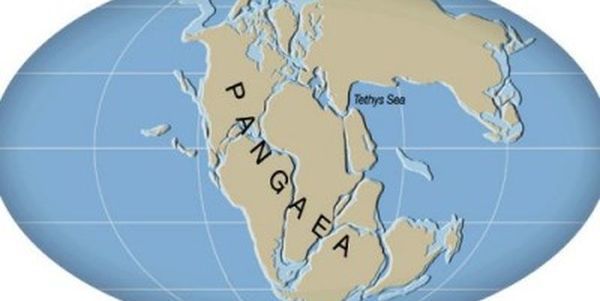 Всі континенти на Землі знову об'єднаються в один материк. Фахівці і геологи впевнені, що в майбутньому всі континенти на Землі знову об'єднаються в один материк, який у давнину називався Пангеєй.