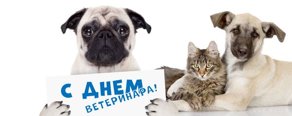 День працівника ветеринарної медицини на Україні. «Медицина лікує людину, а ветеринарія оберігає людство» 
