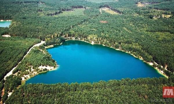 Лещенко у Франції,Соболєв на морі, а Ляшко на городі: Як відпочивають нардепи літом 2016-го. За парламентом закріпилася слава найбільш байдужого і лінивого органу влади держави, котра веде криваву війну. Звісно, багато в чому це стереотипи. Але непогано знати: хто, де, і яким чином.