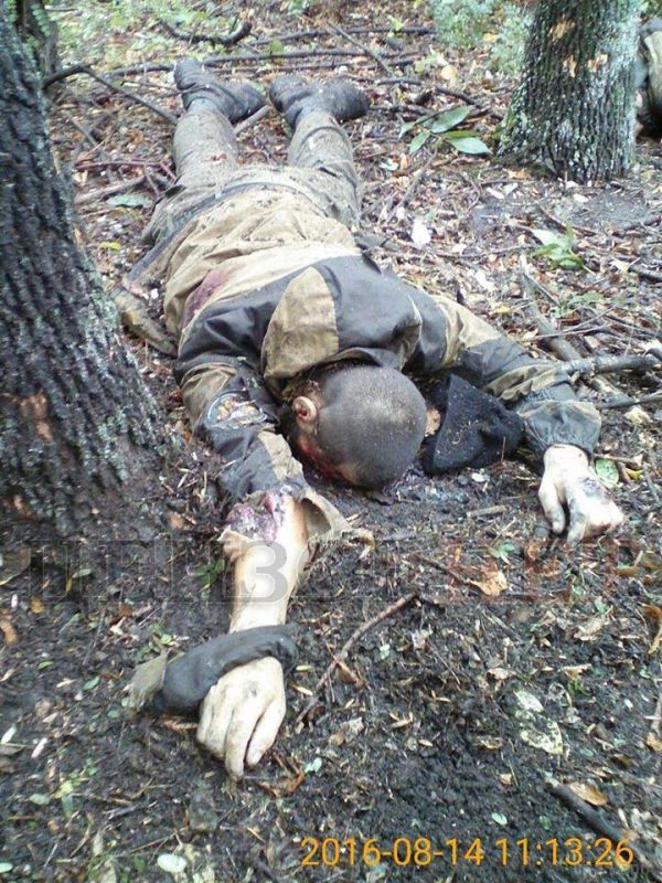 Найомники  покинули на полі бою стікаючих кров'ю бойовиків (фото, 18+). З української сторони втрат пораненими і убитими немає.
