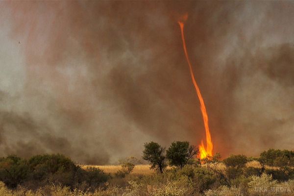 У Колорадо (США) в лісі пронісся вогненний торнадо.  (відео). У Колорадо другий місяць тривають лісові пожежі.