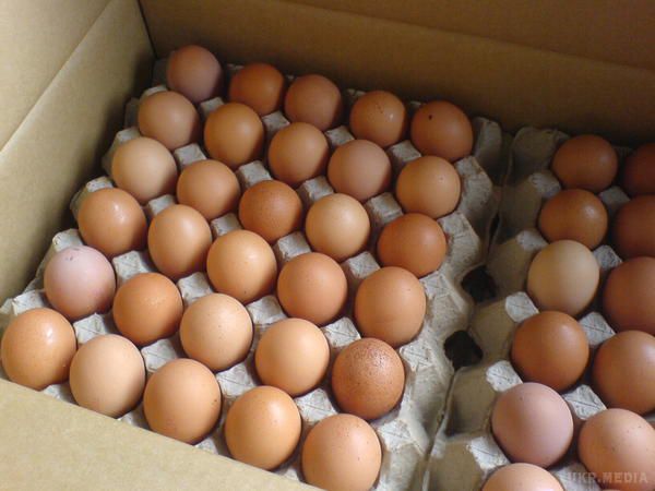 Україна зіткнулась із яєчною проблемою. Скорочення виробництва курячих яєць в Україні стало наслідком падіння експорту цього продукту