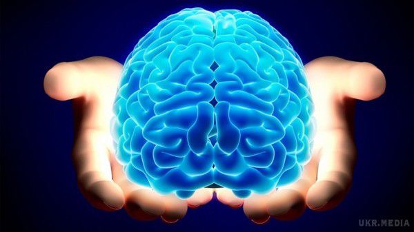 Вчені довели вплив мозкових тренувань на поліпшення короткочасної пам'яті. Американські нейробіологи провели експеримент, довівши, що мозкові тренування позитивно впливають на розвиток пам'яті.