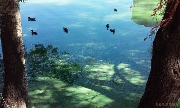 У Києві озеро забарвилося в зелено-блакитний колір (фото). У Києві з озером Сонячне, що на Позняках, сталася дивна трансформація - вода забарвилася в зелено-блакитний колір.