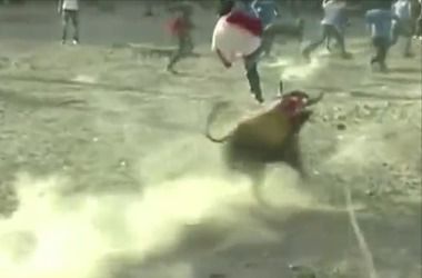 У Перу розлючені бики піднімали глядачів на роги і топтали копитами. Традиційний фестиваль закінчився трагедією.