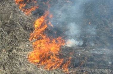 У Чернівецькій області жінка згоріла заживо у вогні. Пенсіонерка прибирала біля будинку.