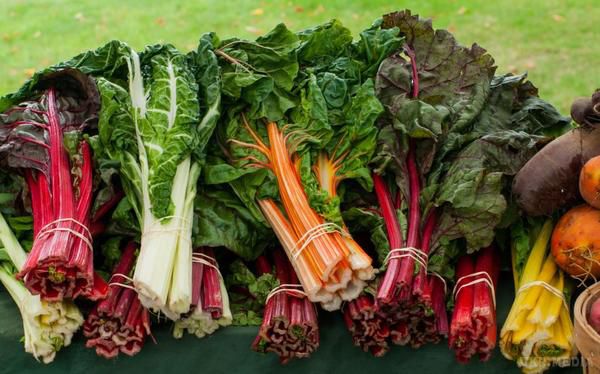 Фахівці рекомендують вживати при запорах ці овочі.  В якості попередньої рекомендації важливо пам'ятати, що при купівлі овочів ви повинні завжди вибирати вирощені найбільш екологічно чистим способом. 