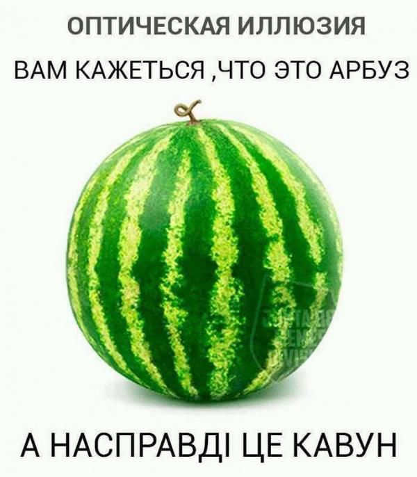 Мережу підірвали фотографії з ринків, де різниця у цінах на продукти залежала від мови написання (фотофакт). Наприклад, "цибуля" коштувала 3 гривні, а "лук" - 7 гривень.