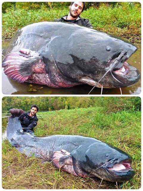 Навмисне не придумаєш: свіжа порція веселих фотографій. Настрій потрібно піднімати забійним гумором.