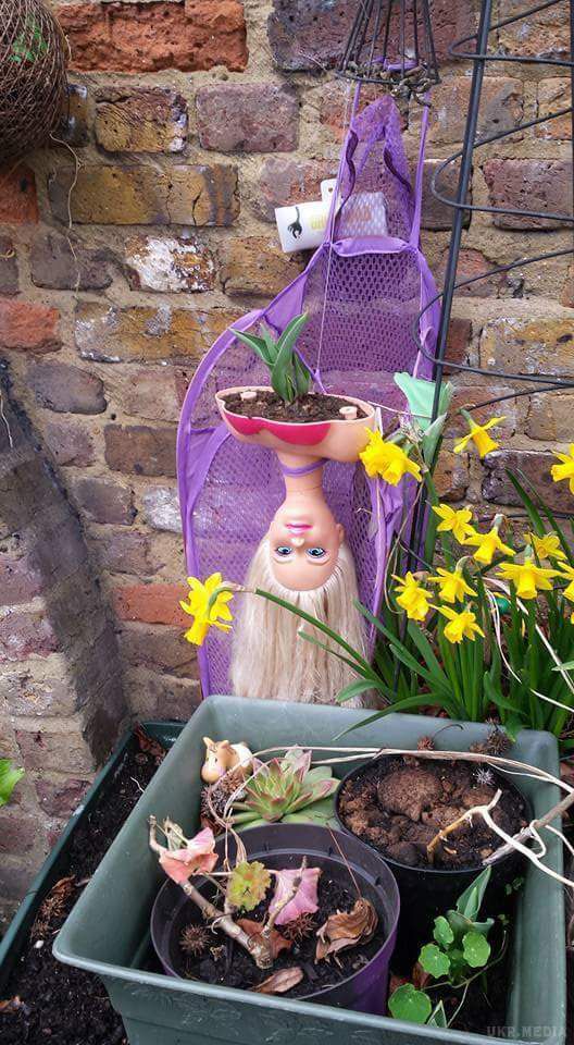 Навмисне не придумаєш: свіжа порція веселих фотографій. Настрій потрібно піднімати забійним гумором.