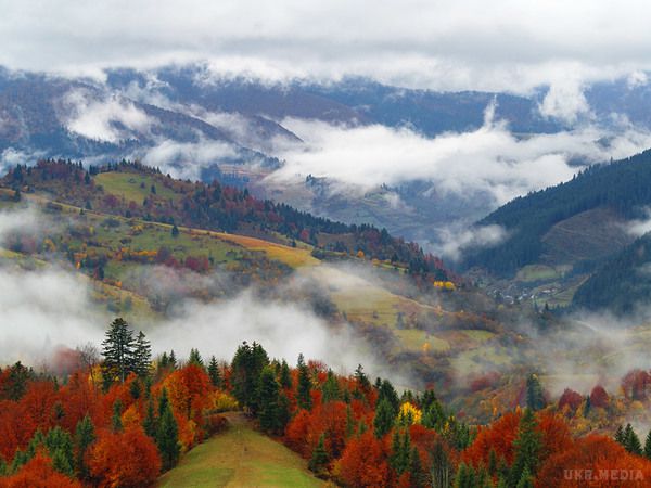 Осінні Карпати і вагомі причини їх відвідати (Фото). Карпати прекрасні в будь-який час року, проте відвідування гір восени має ряд значних переваг.